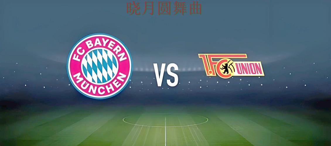 世界杯投注数据页面怎么理解更高效